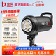 金貝（JINBEI）攝影棚閃光燈DMII升級300W/500W影室閃光燈人像服裝攝影燈套裝拍照燈證件照美食珠寶產(chǎn)品補光燈 DMII-3影視閃光燈 單燈頭（300W）