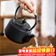 瓷牌茗茶具 鐵壺鑄鐵泡茶壺家用燒水壺煮茶單壺仿日式手工生鐵老鐵壺 尊者鐵壺 0.8L