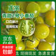 【青甜千禧圣女果】新鮮綠色西紅柿減脂可生食口感小番茄壞果包賠 綠色青甜圣女果【含箱】 5斤 好吃不貴-不甜包退
