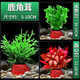 瘋狂水草（FKSC）真水草魚(yú)缸造景套餐凈化水質(zhì)懶人魚(yú)缸水草植物直接入缸蜈蚣草 【賽級精品】鹿角茸+水羅蘭+血心蘭