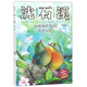 紅嘴相思鳥(niǎo)的昂貴彩禮/動(dòng)物小說(shuō)大王沈石溪注音讀本
