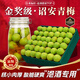 晟容果蔬青梅鮮果【JD/順豐-多地次日達】泡酒專(zhuān)用詔安酸脆梅子新鮮水果 精選【80%選擇-泡酒專(zhuān)用】單果18g+ 5斤裝【超劃算-80%選擇】