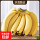 云南高山香蕉 新鮮水果現摘甜糯香蕉 帶花皮 青蕉發(fā)貨 常溫放熟吃 9斤實(shí)惠蕉
