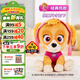 汪汪隊立大功（PAW PATROL）毛絨玩具狗狗陪睡玩偶經(jīng)典款天天中號坐姿可愛(ài)公仔男女孩生日禮物