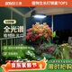 三思植物補光燈仿太陽(yáng)全光譜 全光譜植物燈 室內植物生長(cháng)燈-100W懸掛