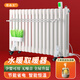 維森美加水暖氣片注水取暖器電暖器電暖氣片家用水暖氣片加水注水掛墻暖氣片 鋼制智能遙控 16片【16-18平】