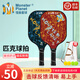 Monsterplanet怪獸星球匹克球球拍套裝 高端碳纖維USAPA認證訓練競技賽事專(zhuān)用 地球01款-雙拍+送（收納包+原裝4球）