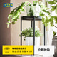 宜家（IKEA）OLIVBLAD歐利布拉植物架花架花幾鐵藝金屬架子室內室外 黑色35cm