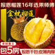 山姆大叔 泰國金枕頭榴蓮【順豐/中通-多地次日達】新鮮鮮果年貨水果禮盒 甄選級 50年老樹(shù)【出肉率高40%+】1-2個(gè)果 報恩果王 凈重4-5斤（包4-5房）