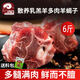 公羊羊蝎子新鮮帶肉羊脊骨生鮮商用羊骨頭散養(yǎng)乳羔羊老北京火鍋2000g 羊蝎子6斤裝 羊蝎子
