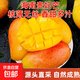 正宗海南貴妃芒新鮮應當季熱帶芒果紅金龍甜心芒果樹(shù)上自然成熟 中果【250g】 帶箱3斤【分享裝】