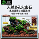 漢洋（HANYANG）魚(yú)缸濾材水族箱底砂龜多肉裝飾造景擺件增色降酸水質(zhì)火山石巖2斤