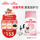皇家幼貓奶糕 幼貓貓糧 BK34 通用糧 1-4月 2KG