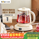 小熊（Bear）迷你養生壺養生杯煮茶器 辦公室恒溫燒水壺電熱水壺 煮茶壺小型花茶壺0.8升YSH-D08L1 
