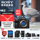 索尼（SONY）Alpha 7 V 全畫(huà)幅微單相機 a7m5 約30張/秒高速連拍 S35模式4K（ILCE-7M5/A7M5）注冊發(fā)貨享紅包 單機身（含雙肩包） 官方標配