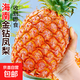 海南金鉆鳳梨新鮮大果臺農17號手撕菠蘿生鮮水果特產(chǎn)特大果包郵 品質(zhì)中果單果1.3斤起 9斤裝凈重8.5-9斤