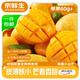 京鮮生海南小臺農芒果 凈重4.5斤 單果60g+ 新鮮水果 源頭直發(fā)