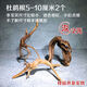 天然杜鵑根棲根紫柚木沉木魚(yú)缸水草缸樹(shù)枝樹(shù)根造景沉木一木成景 精品隨機5-10厘米2個(gè)