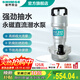 新界永磁無(wú)刷潛水泵 48V60V72V 輕巧便攜電瓶車(chē)抽水泵農田灌溉清