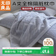 無(wú)印良品A類(lèi)全棉毛圈枕巾 夏天家用純棉枕罩一對裝保護套52*75cm