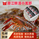 湖北潛江鮮活清水小龍蝦 精選飽滿(mǎn)  黃多鮮嫩 不活包賠 中青5斤裝456規格(當天12點(diǎn)前下單次日送達)