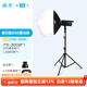 南光（NANLITE）FS-300B雙色溫直播補光燈 室內影棚平面人像攝影燈 大功率視頻led常亮燈 專(zhuān)業(yè)高顯色拍攝燈 FS-300B+650柔光球+燈架