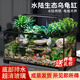 西游水族烏龜缸超白玻璃生態(tài)造景龜魚(yú)缸一體混養生態(tài)缸客廳專(zhuān)用家用飼養缸 60雨林豪華全套【缸+做好成品發(fā)貨+設備】