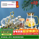 青蘋(píng)果耐熱玻璃冷水壺茶壺11件套 涼水壺水杯杯架托盤(pán)杯刷茶葉罐