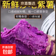寧夏紫羅蘭紫薯正宗沙地紫薯新鮮紫心紅薯蜜薯地瓜減脂蔬菜健康 帶箱紫薯5斤