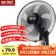 先科（SAST）風(fēng)扇/壁扇/電風(fēng)扇/宿舍餐廳電風(fēng)扇/大風(fēng)力/交流定頻/壁掛式電風(fēng)扇FB-308 