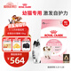 皇家幼貓貓糧 幼貓奶糕 K36 通用糧 4-12月 10KG