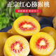 四川紅心獼猴桃奇異果新鮮水果正宗奇異果應當季整箱 紅心果10個(gè)單果50-70g 新鮮采摘