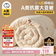 無(wú)印良品A類(lèi)抗菌大豆纖維被子冬天被芯秋冬季棉被芯雙人6斤200*230cm 小熊