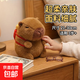 【熱賣(mài)】卡皮巴拉毛絨玩具公仔生日禮物女孩情人節禮物可愛(ài)萌 卡皮巴拉公仔【背包薯條款】 1個(gè)裝