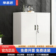 豫基恩文件柜加厚鐵皮柜矮柜儲物柜辦公柜工具柜抽屜柜茶水柜小柜子帶鎖 常規 對開(kāi)門(mén)矮柜
