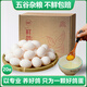 均鮮新鮮鴿子蛋 土鴿蛋產(chǎn)婦孕婦寶寶農家特產(chǎn)年貨節禮盒送精美禮品 20枚400克左右精選鮮鴿蛋