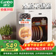 康寶（Canbo）消毒柜小型家用不銹鋼臺式嬰兒奶瓶碗筷收納高溫熱風(fēng)消毒碗柜烘干【政府補貼】XDR53-LC3M