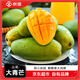 京覓云南大青芒 5斤單果600g+  生鮮新鮮水果 源頭直發(fā)