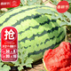 大禹西瓜苗種子嫁接秧苗盆栽西瓜種苗陽(yáng)臺帶土幼苗麒麟瓜 奇山甜蜜懶漢西瓜種子150粒