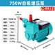 家用清自吸泵高壓增壓抽水機220V單相水塔離心泵水泵 噴射自吸泵1 IWZB-750  750W