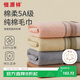 恒源祥A類(lèi)5A毛巾100%純棉洗臉毛巾洗澡全棉強吸水素色面巾10條裝