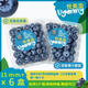 京鮮生&悅美添 花香藍莓15mm+ 6盒裝 100g/盒 專(zhuān)利品種 源頭直發(fā)