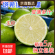 無(wú)籽青檸檬薄皮塔希提新鮮現摘青檸檬薄皮奶茶店專(zhuān)用整箱裝 塔希提單果50g+ 1斤