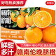 京地達橙子贛南倫晚臍橙江西贛州直發(fā) 凈重9斤單果230g+源頭直發(fā)包郵