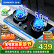 創(chuàng  )維（Skyworth）燃氣灶煤氣灶雙灶家用 5.0kW九孔聚能猛火鴛鴦灶具 臺式/嵌入式鋼Z209B液化氣