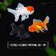 墨一觀賞魚金魚活魚金魚活體淡水冷水好養(yǎng)招財小型錦鯉魚錦鯽魚草金魚 09-11cm丹頂紅+獅頭龍睛 各一條