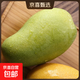 芒果金煌芒水仙玉芒果青皮大芒果甜心芒新鮮水果次日孕婦達送禮 凈重2斤裝 【一人食】 甄選特級果【單果250g+】