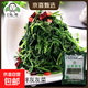 新鮮速凍山野菜灰灰菜涼拌綠色冷凍蔬菜宴席菜半成品酒店免洗商用 【速凍灰灰菜4袋】