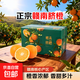 正宗贛南臍橙新鮮現摘橙香多汁當季水果 帶箱10斤裝60-70mm果（凈重9斤）