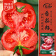 壽禾老品種番茄種子苗沙瓤西紅柿蔬菜種籽 濰育粉星老番茄種子100粒